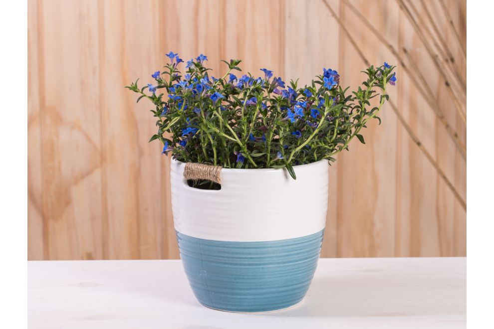 Übertopf Ella blau/weiß 15 cm aus Skandinavische Blumentopf Keramik, Deko 